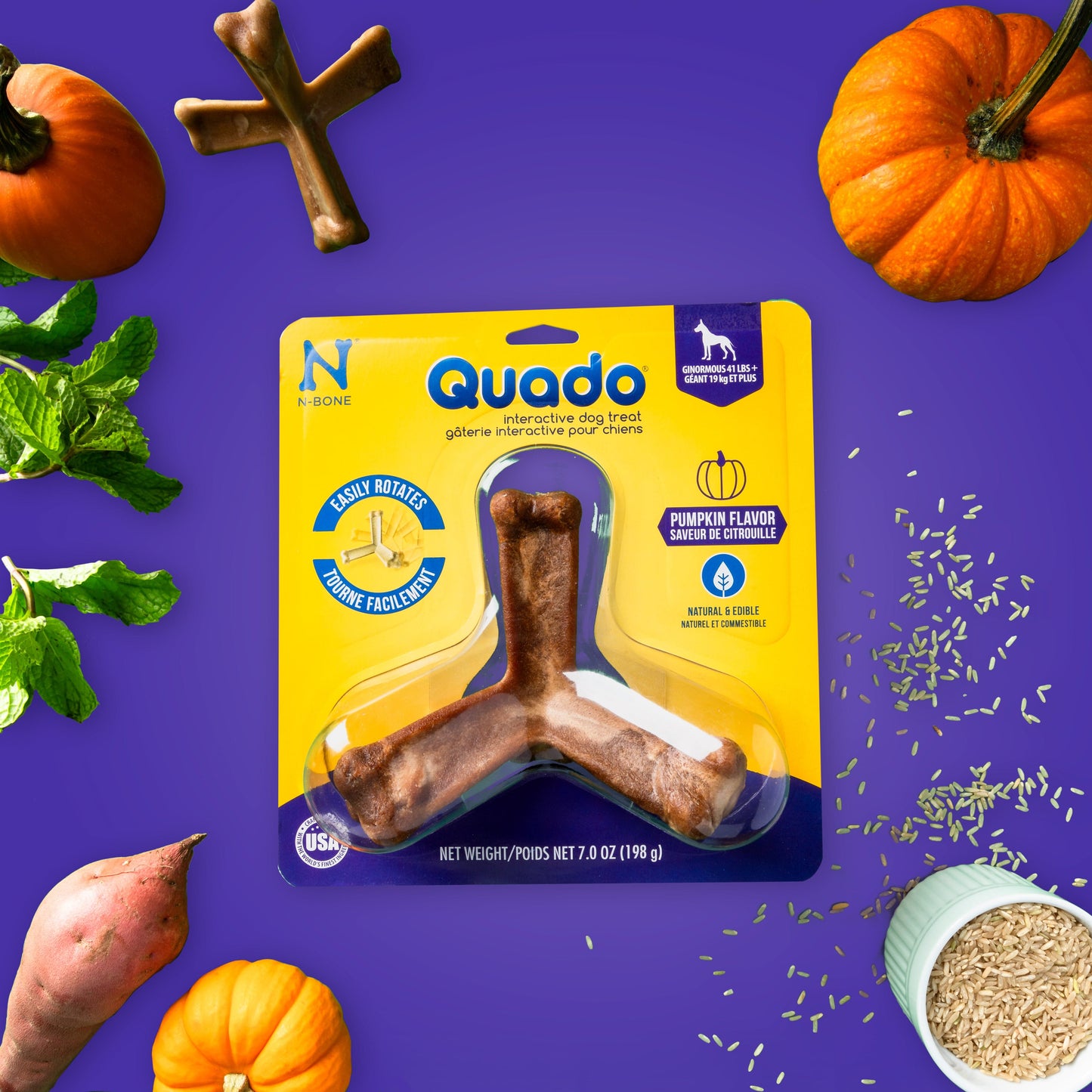 N-Bone® Quado® Interactive Bone Pumpkin Flavor