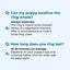 Text-based Q&A about a dog chew ring on a light blue background