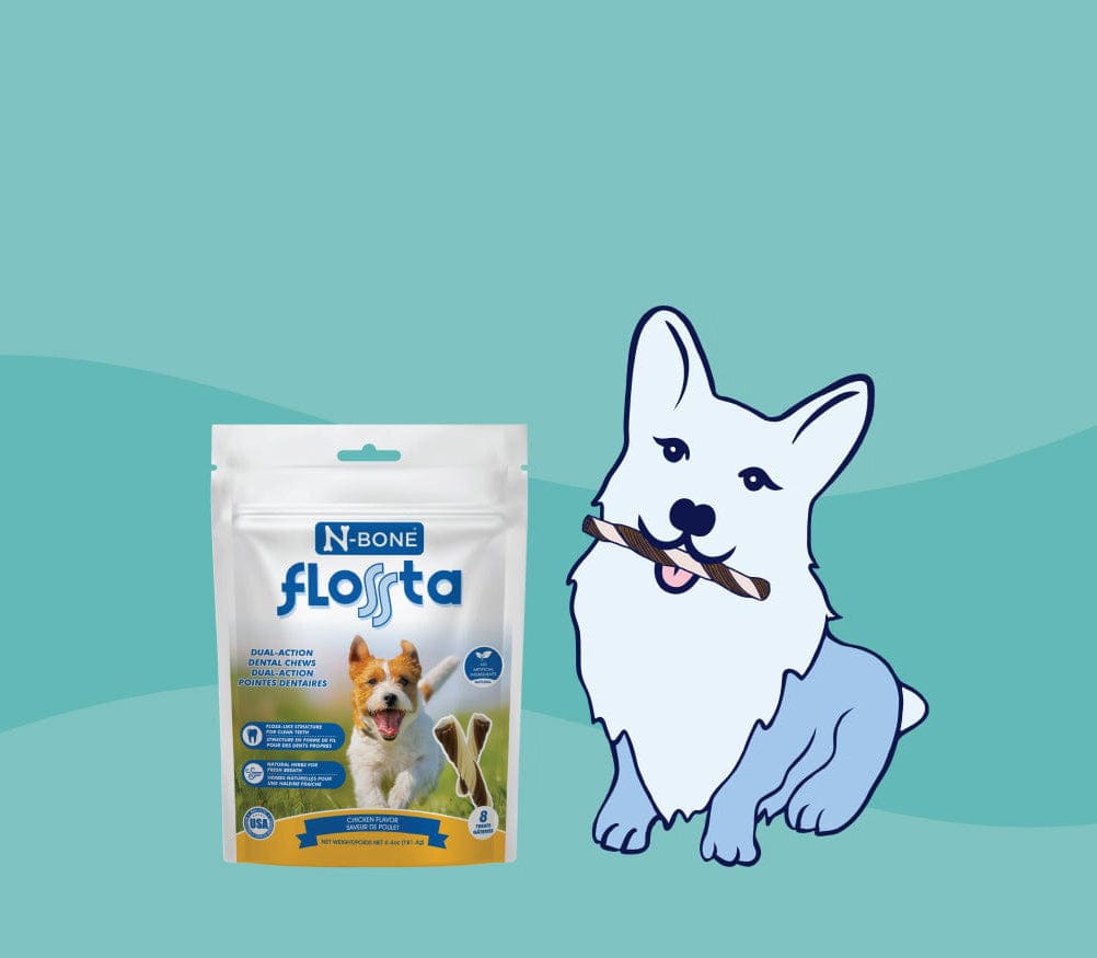 N-Bone Flosta dog chew package with a cartoon dog on a teal background